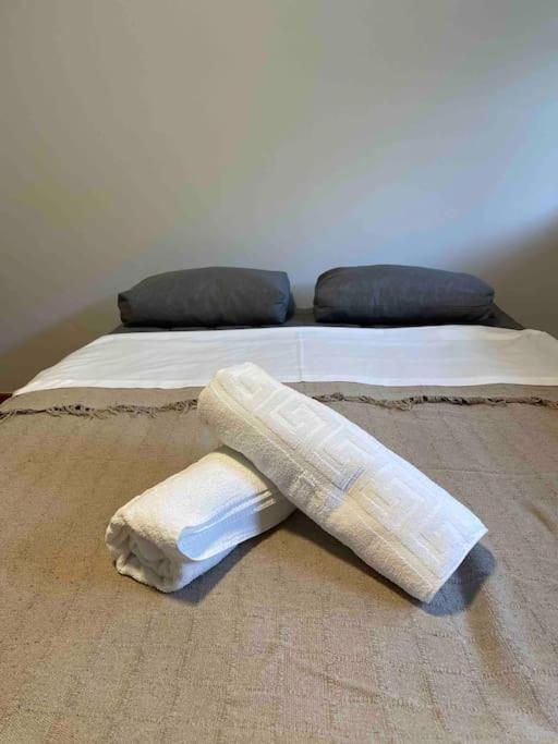 Apartament Piso Pineta Bielsa Zewnętrze zdjęcie